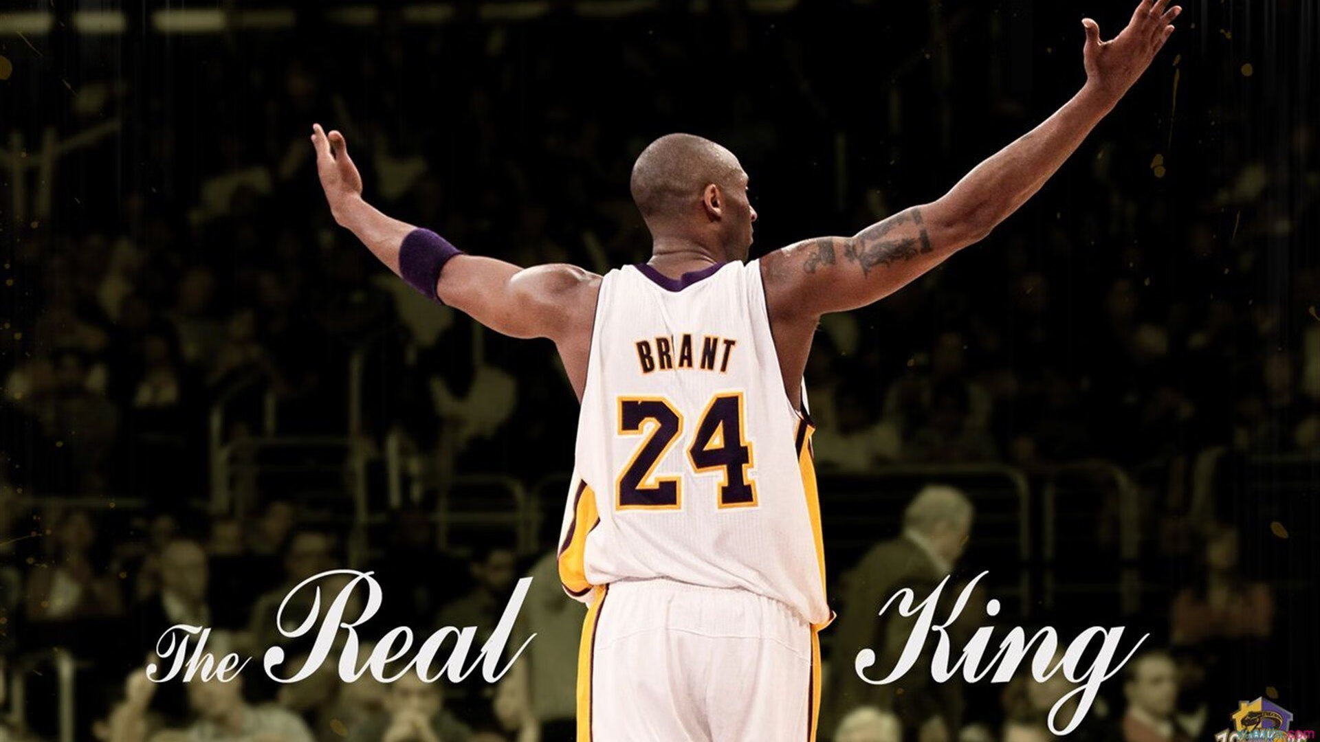 JiuyouAPP下载-_全球名人网球嘉年华：明星云集，娱乐与竞技兼备_，网球名人排名