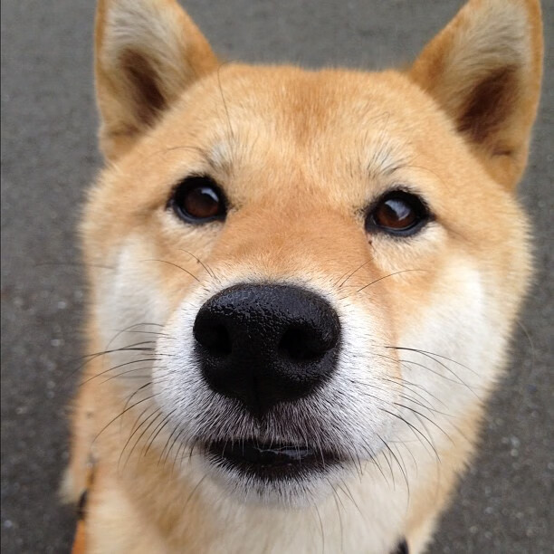 “极速追逐：瞬间超车让全场沸腾”，极速追赶