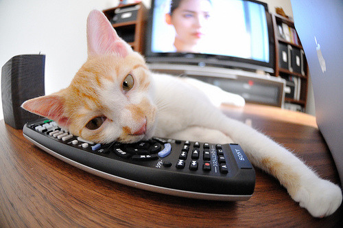 “极速直线：冲刺赛道的疯狂瞬间”，极速冲刺是什么意思