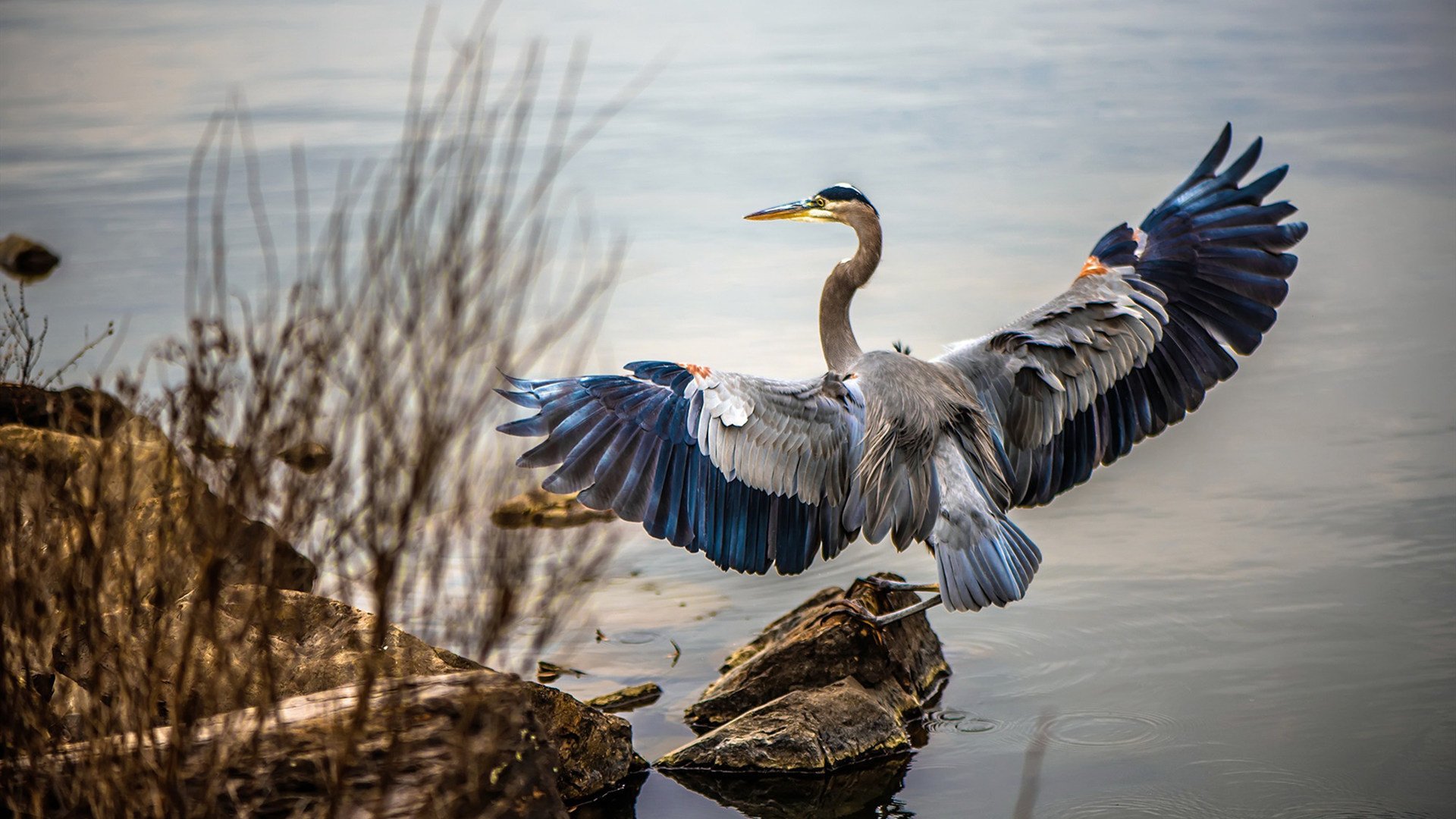 塞内加尔队前锋苏亚雷斯在巴黎奥运会上表现出色，苏亚雷斯内马尔