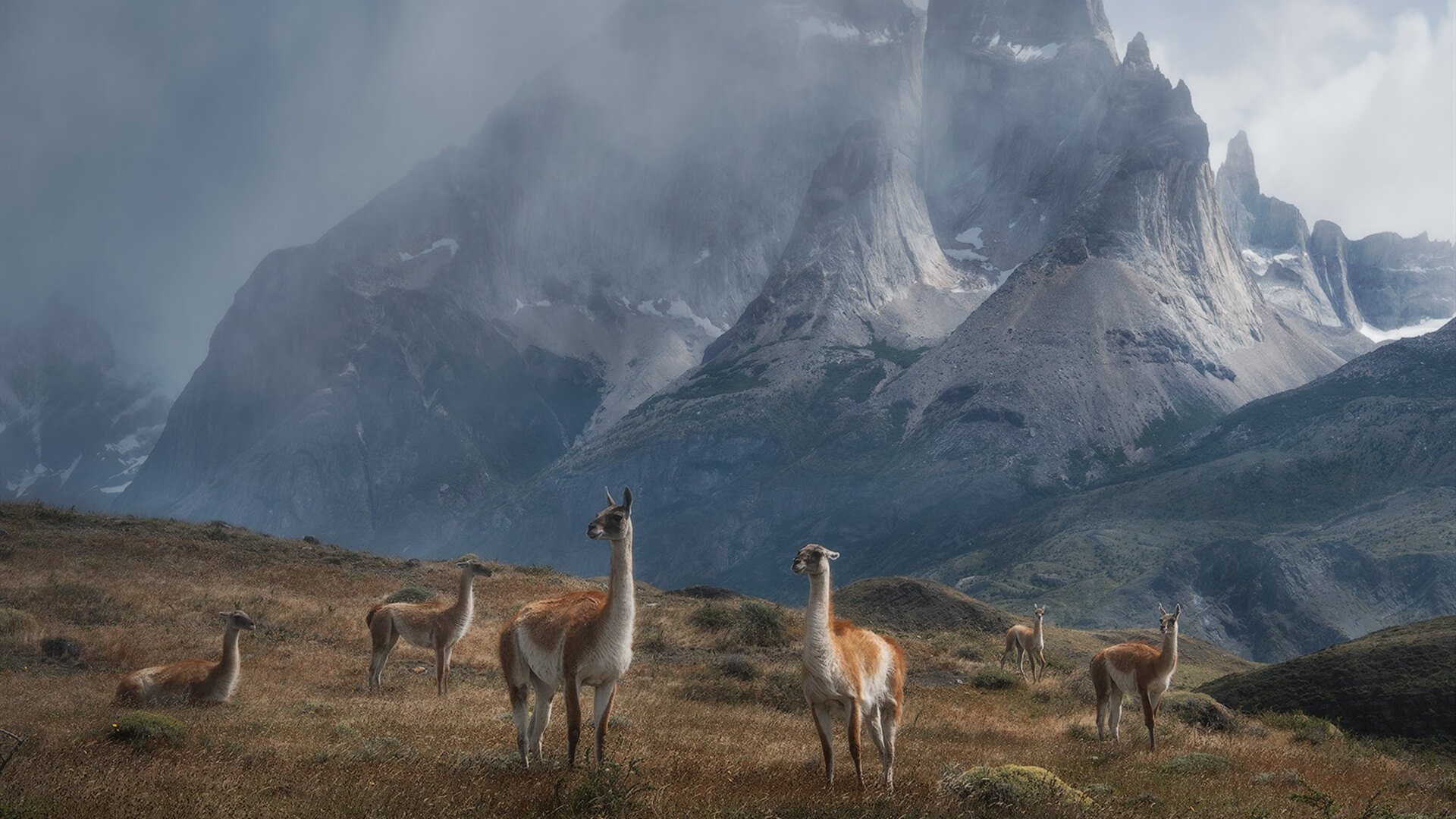 JiuyouAPP下载-女性电竞逐步崛起，打破传统偏见引领趋势，电竞女性玩家