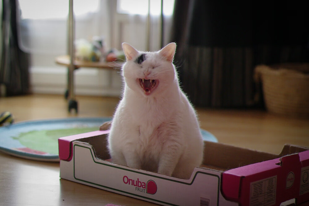 九游app官网下载-火力狂飙：北京队三分命中率直接突破40%！