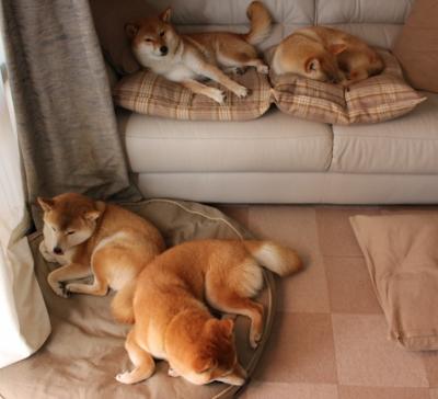 美国骑手凯尔·库克在巴黎奥运会上首次亮相即夺得障碍赛银牌，表现出色。