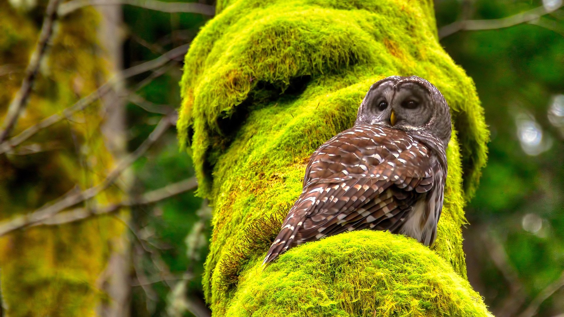 九游游戏中心官网-赛场掠影：运动员的精彩瞬间与幕后花絮，运动员比赛现场