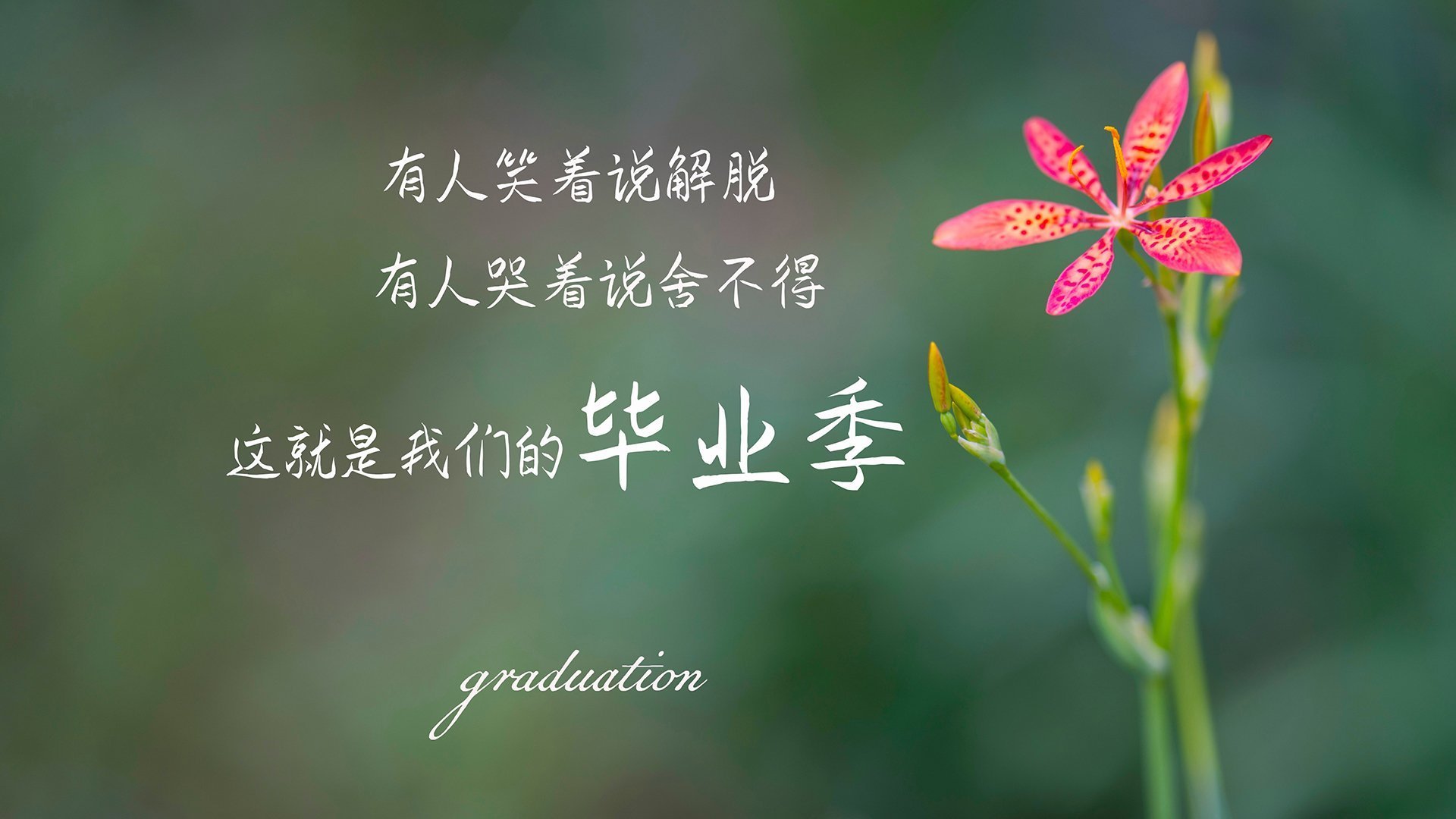 足球场馆“智慧管理”平台获国家“科技创新奖”，足球比赛管理系统