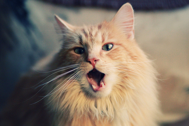 足球主题VR游戏上线吸引年轻人群，足球比赛vr什么意思