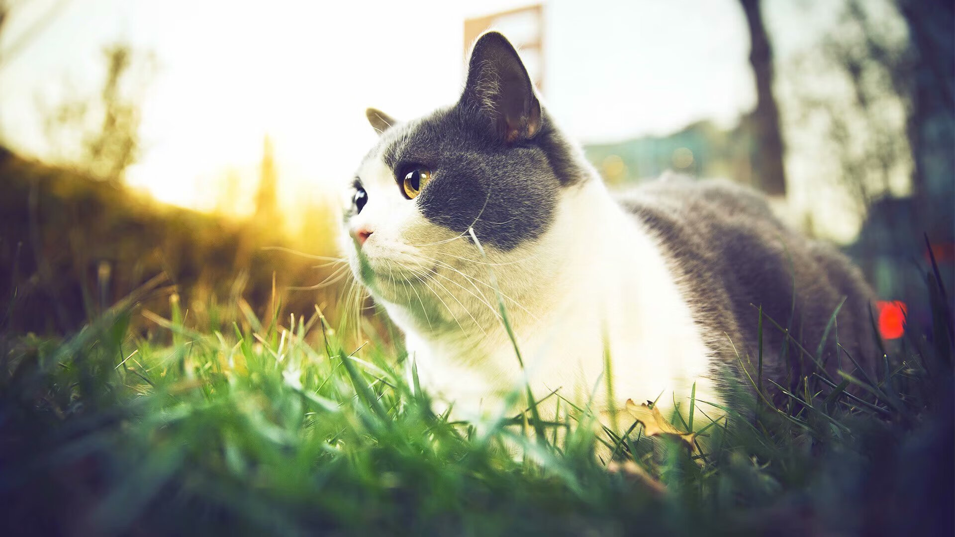 九游app官网下载-迈阿密热火“金刚防线”实力全面升级！，迈阿密热火为何滑落这么快