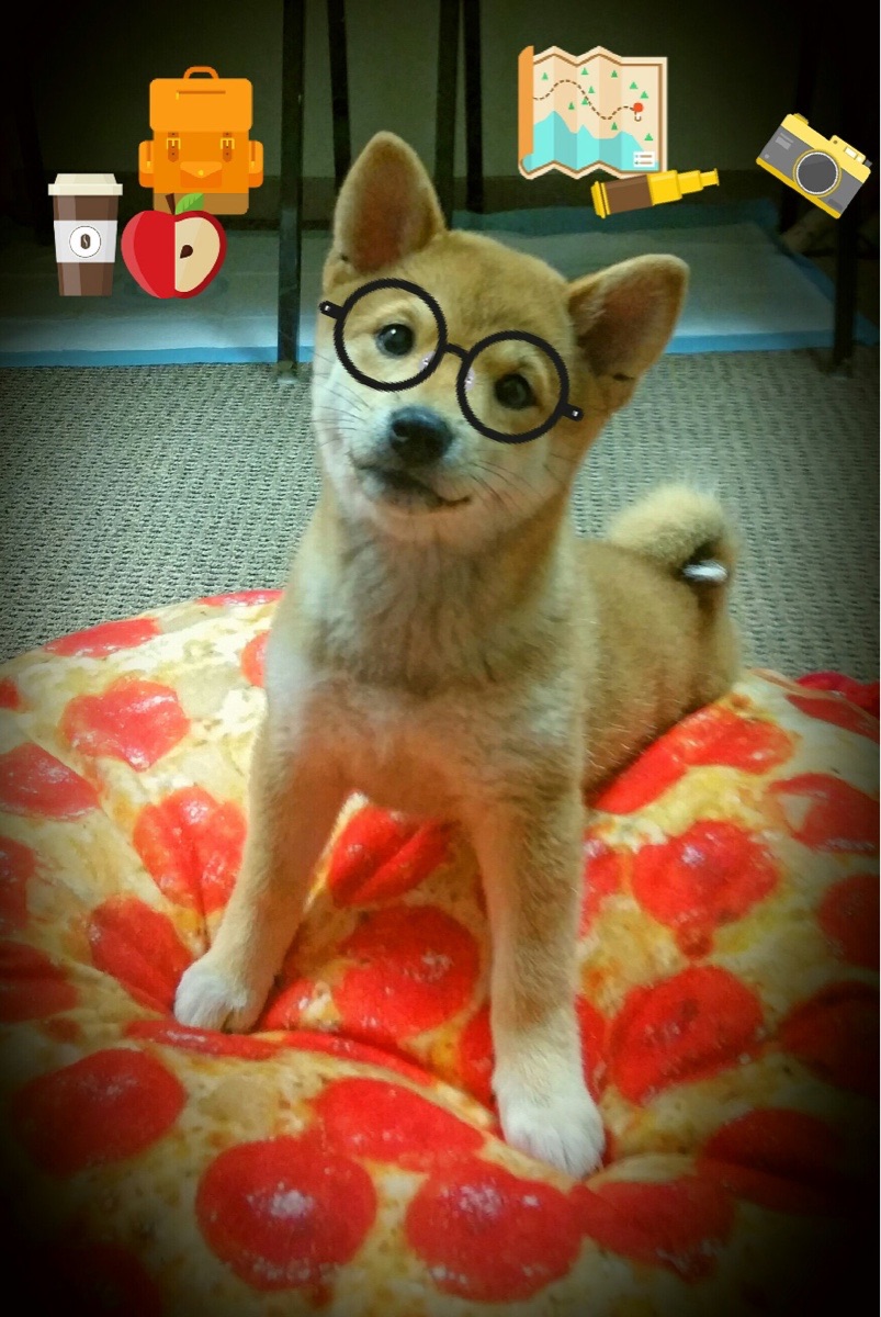 九游登录中心-逆风翻盘：本赛季几大经典绝地反击战回顾，绝地反击是谁的战法