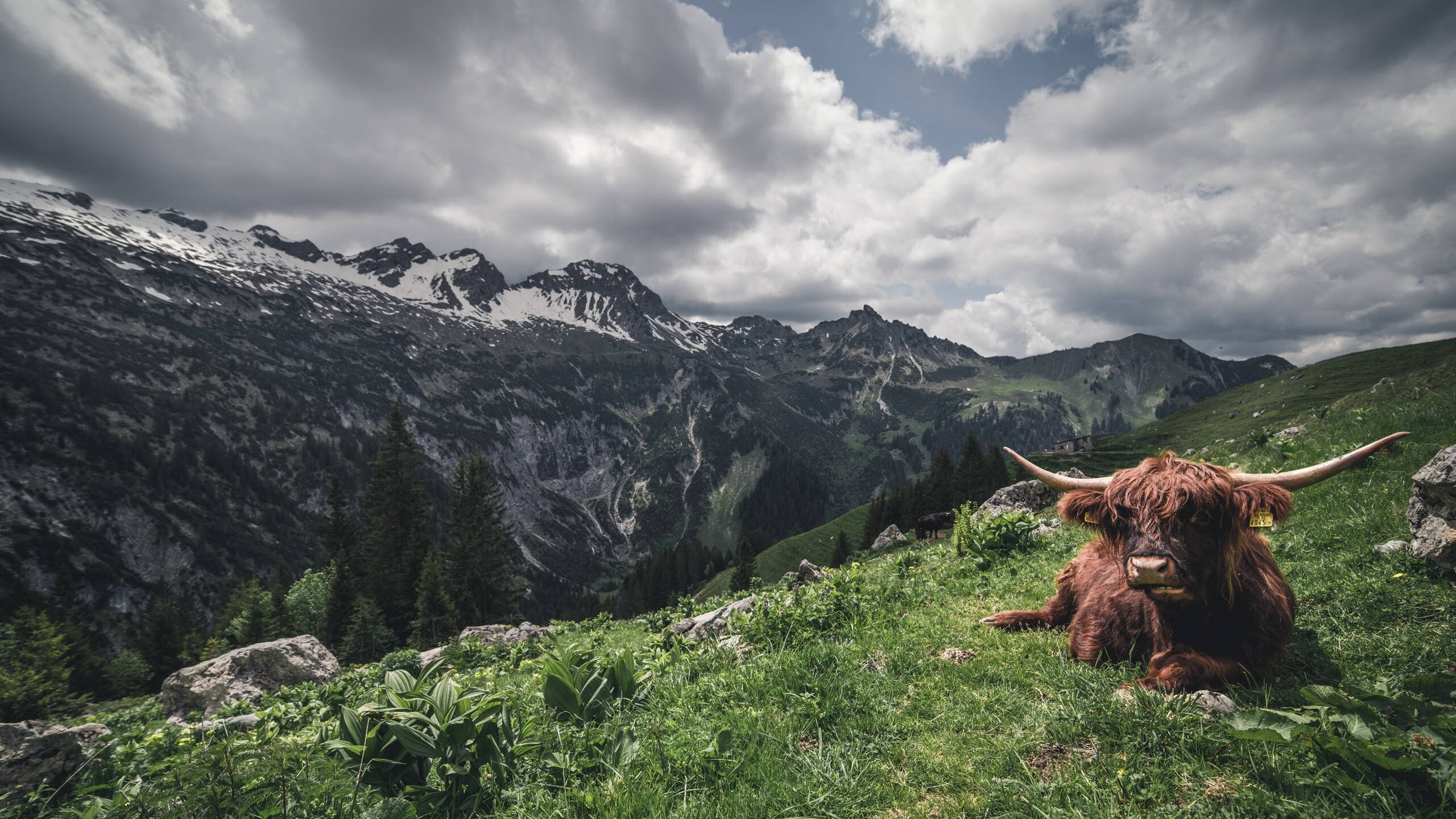 Heroic 战队在 IEM Rio Major 中表现出色，hero战队是哪个城市的