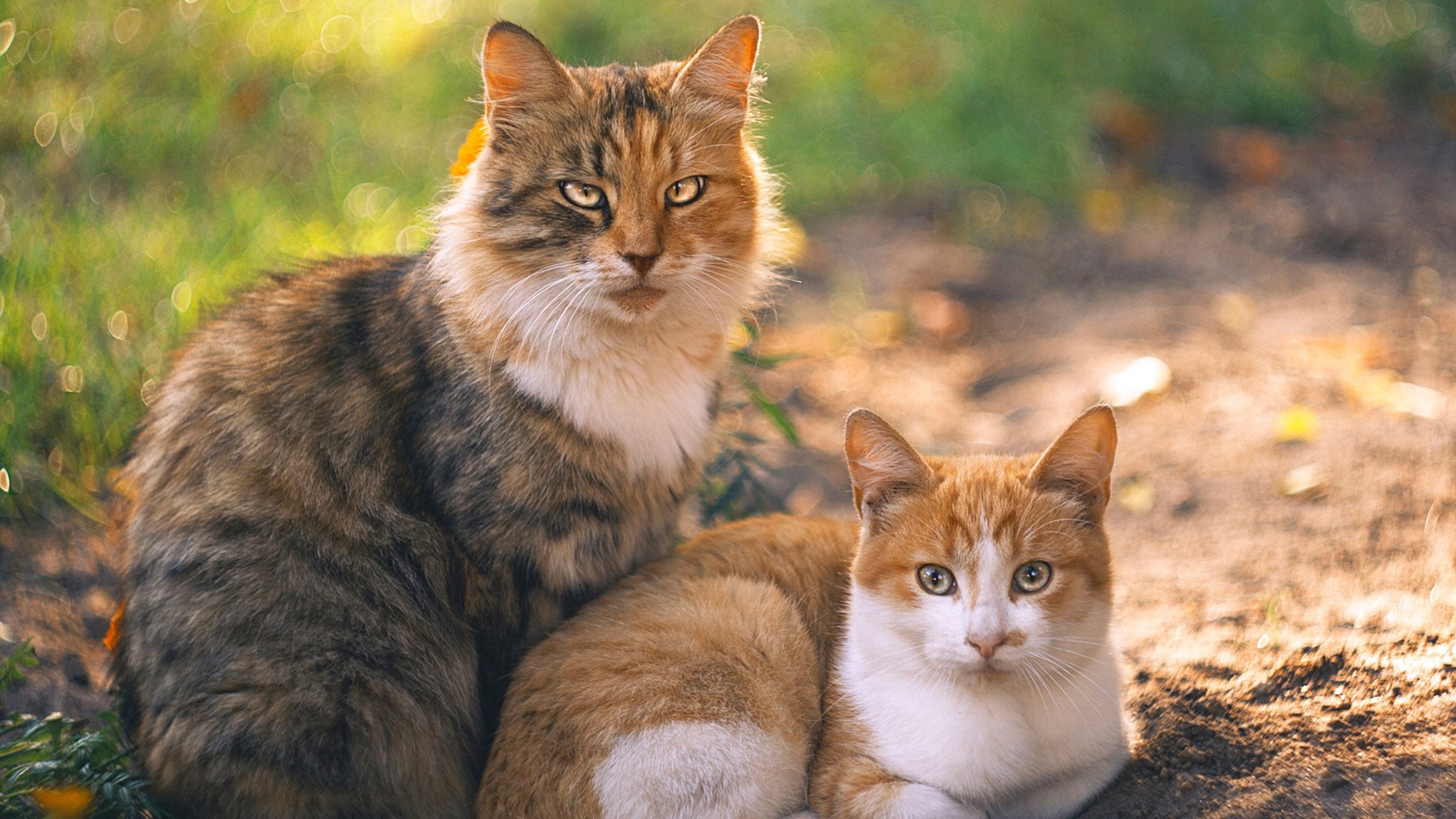 利物浦防守反击犀利，红军力保英超霸主地位，利物浦进攻战术