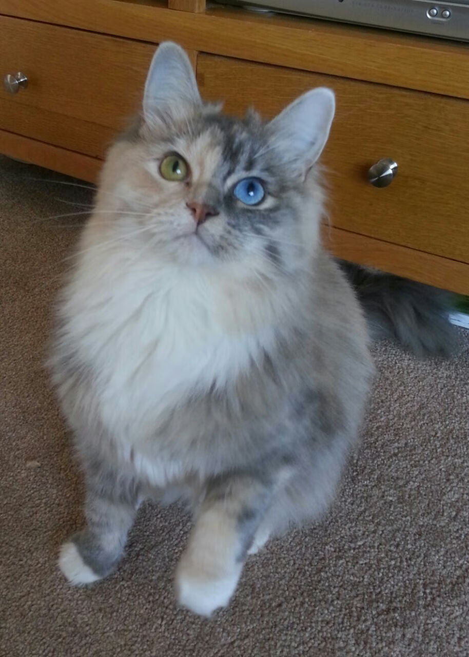 九游网页版入口-国足与亚洲强队热身赛，检验备战成果，亚洲 国足