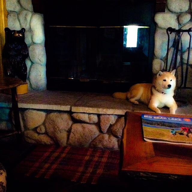 堡垒之夜平衡性调整公布，堡垒之夜效果