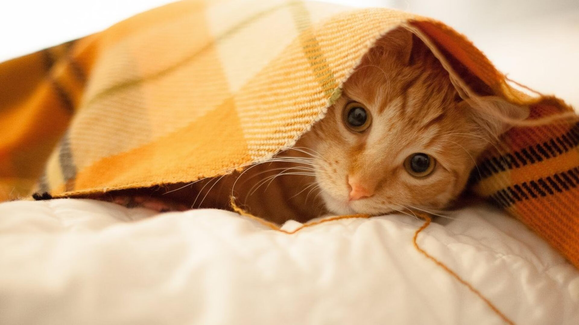 九游jiuyou-巴萨中场协作紧密，团队配合默契，巴萨中场球员