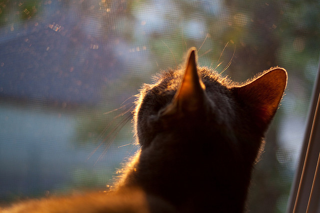 摩纳哥悲惨失利,球队现在岌岌可危,摩纳哥ds