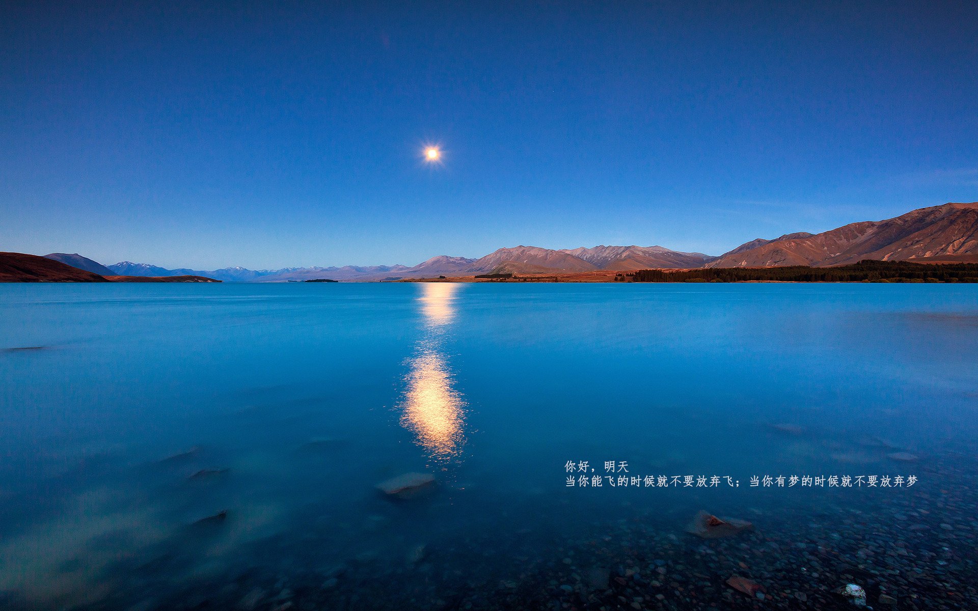 桑托斯防守端稳固提升，桑托斯近期战绩