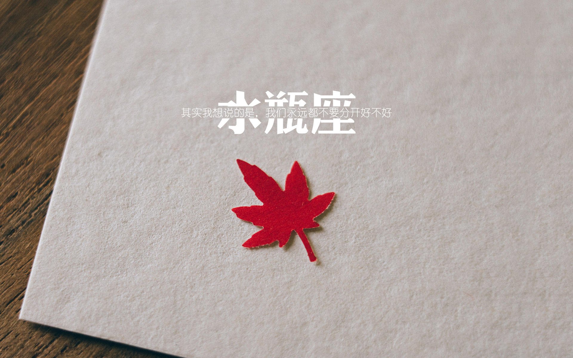 -球迷文化是否已成为英超成功重要因素，英超 球迷