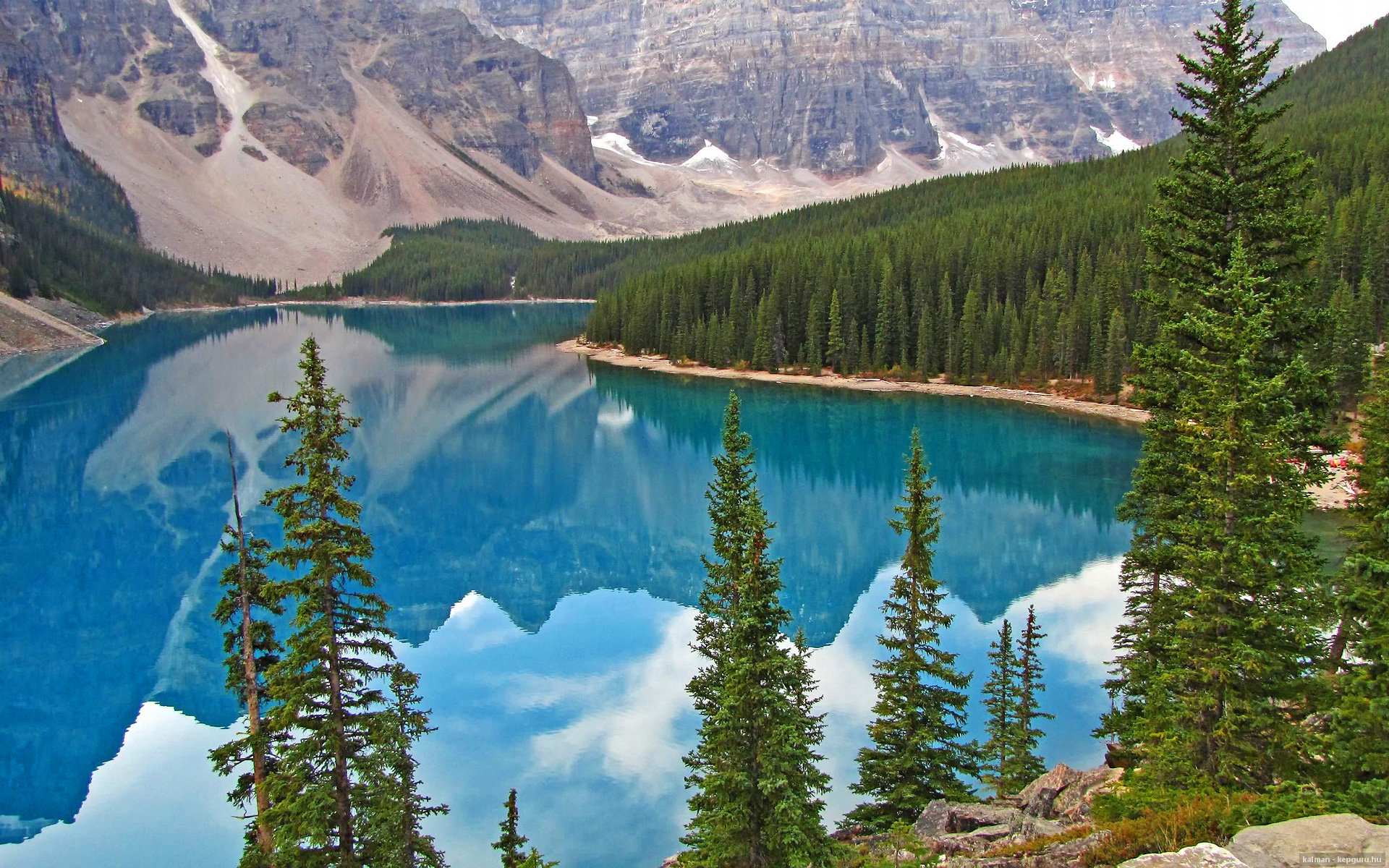 九游登录中心-雷丁攻守兼备，皇家军团奋力抢分，雷丁变身正规军