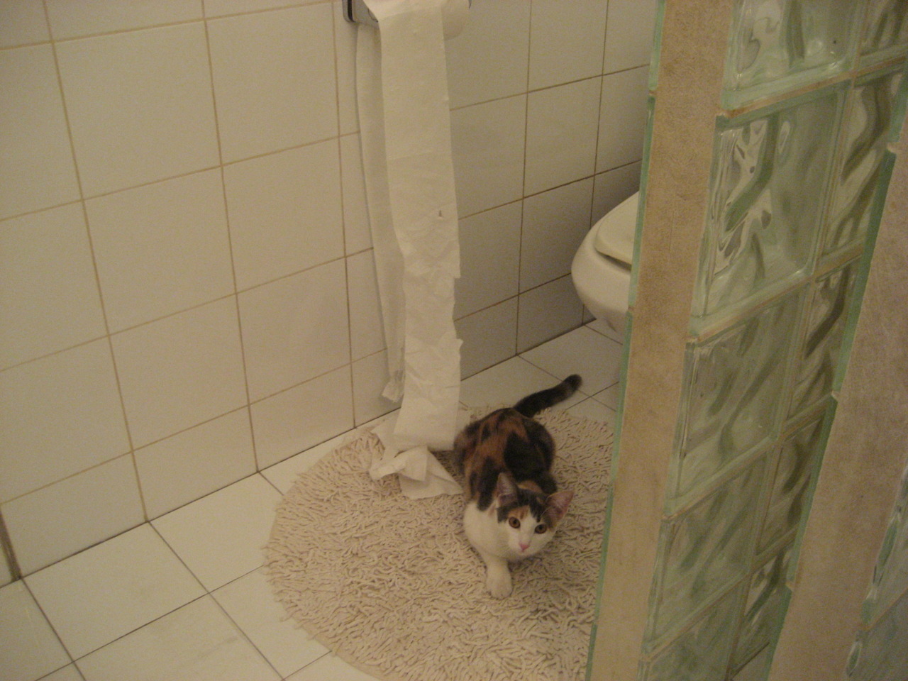 九游app下载中心-骑士队球队外线火力增强，骑士队的主力