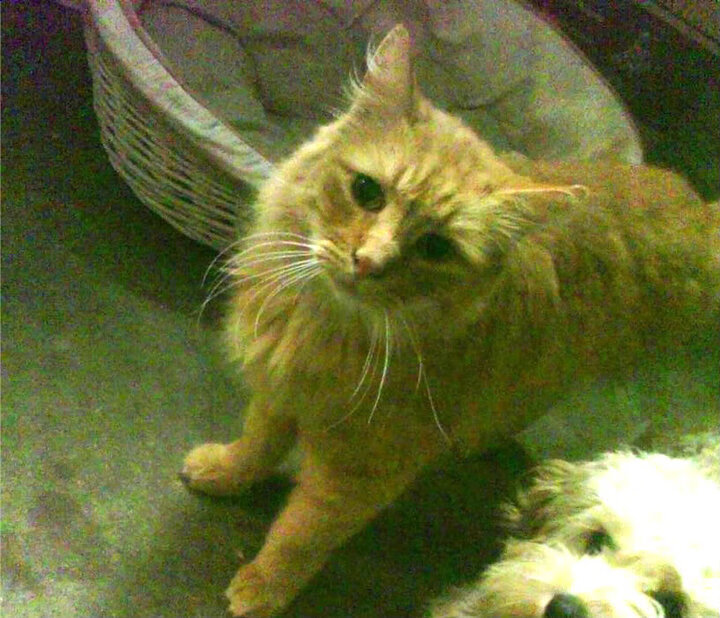 马赛再遭意外失利,球队需调整战术寻找突破,马赛联赛