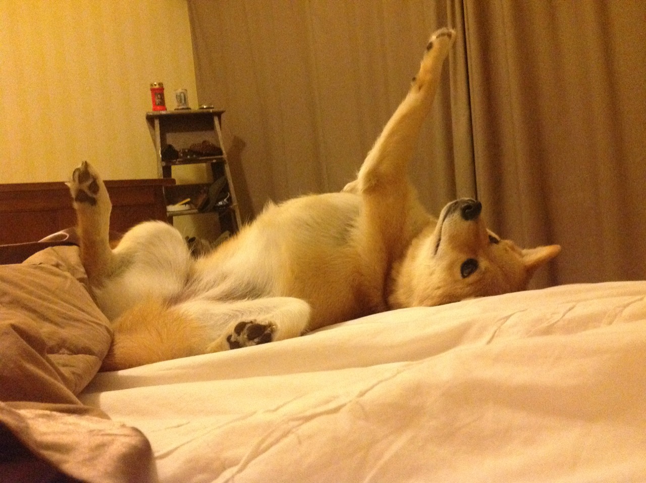 NBA球队关键球处理模式与教练风格相关性研究，nba关键球前十