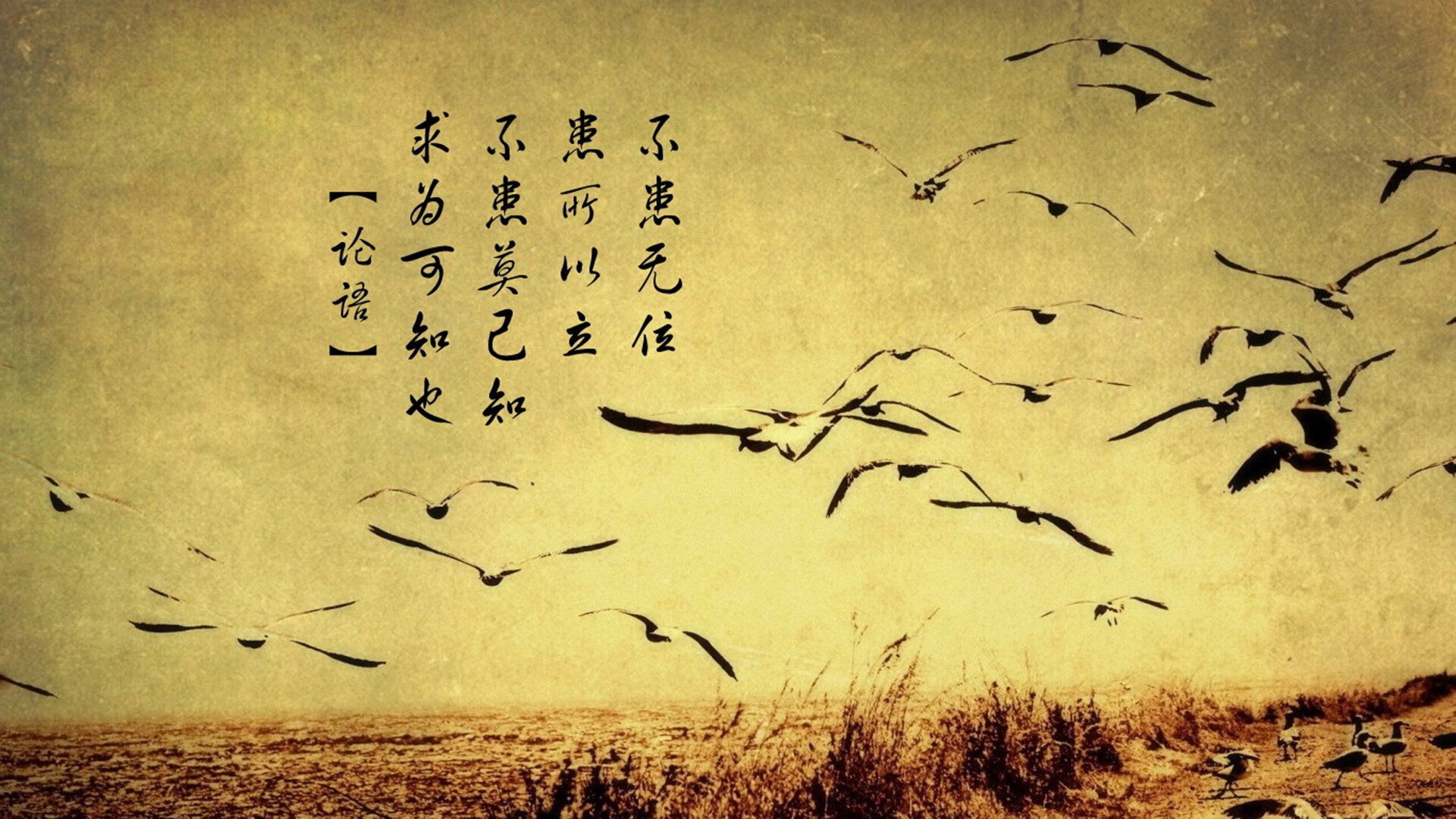 中国青少年篮球均衡发展政策探讨,《中国青少年篮球训练教学大纲》