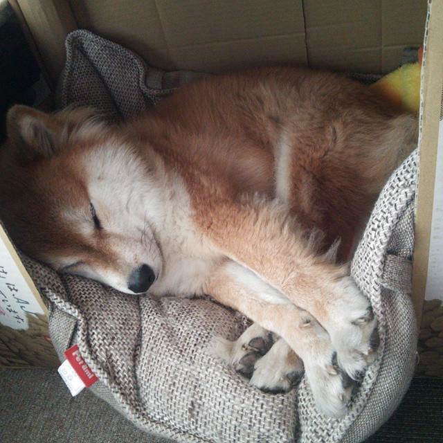 国际热身赛中国青年队惨败 球迷热议换人策略，国家队热身赛