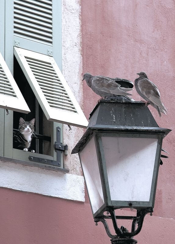 滑行距离与速度关系探讨,滑行距离怎么算