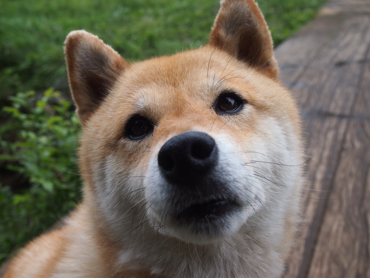 中小学篮球活动纳入城市体育节提升活动层级，中小学篮球现状