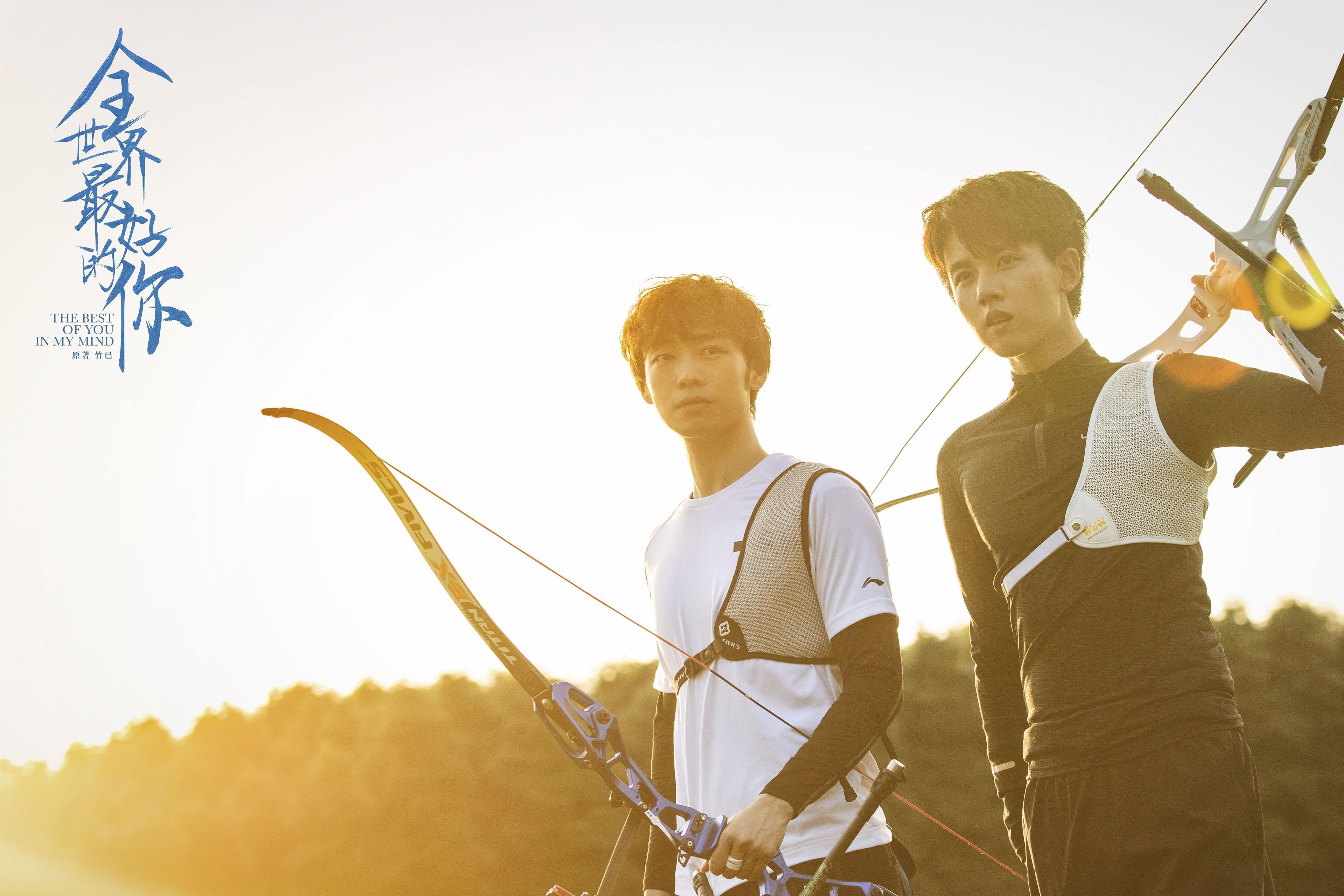 南非橄榄球进入新纪元：从青训到国际舞台的全方位布局，南非橄榄球图片